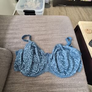 Sculptresse By Panache Estel Blue Lace Bra 40J